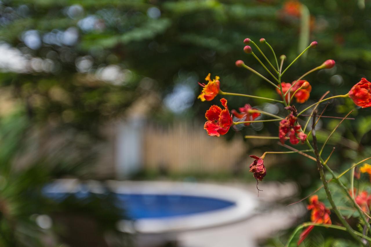 Kelapa Cottage Amed  Exterior photo
